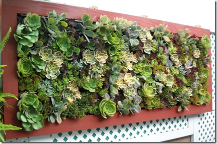 023[1].JPG-tube Planter #15