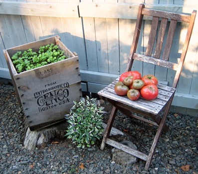 Heathers Garden