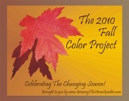 Fall Color Project Badge 2010