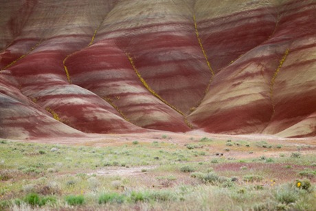 Painted Hills_9454