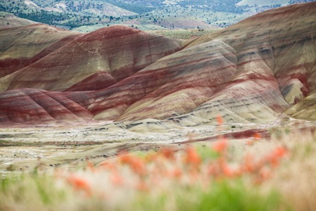 Painted Hills_9521