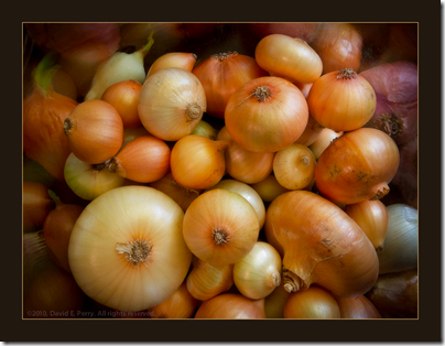 David Perry-onions-Micro In A Mason Jar