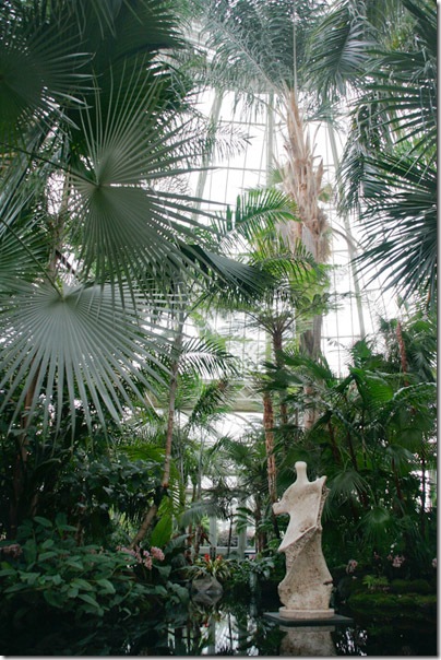 NYBG_palm_room_7503-7