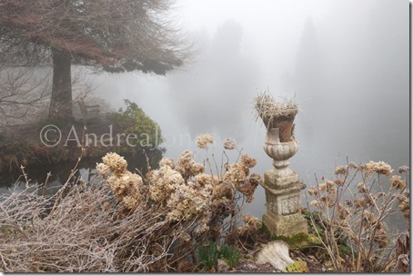 Stone urn and plinth surrounded by Hydrangea seedheads on lakes edge