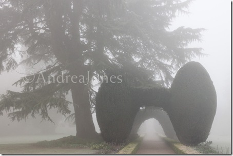 Sculpted yew arches on The Broad Walk