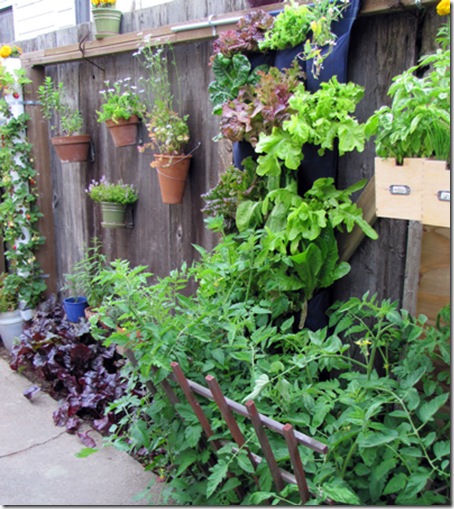 photo-1-vertical-garden-on-[1]