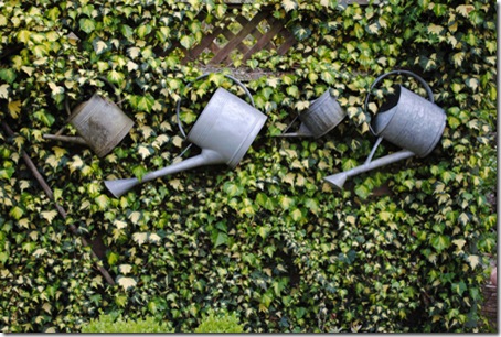 photo-2---watering-cans[1]