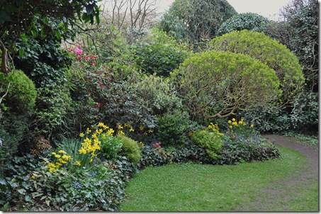 1eerste deel vd tuin met Rhododendron williamsianum GÇÿGartendirektor GlocknerGÇÖ