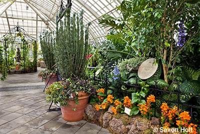 wicked plants exhibit at Conservatory of Flowers