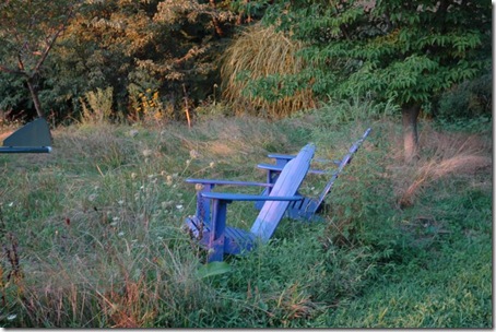 blue chair-1s in August