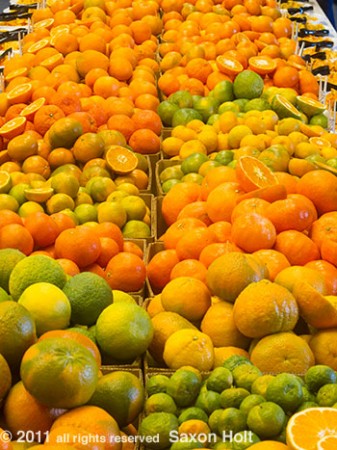 citrus varieties at Lindcove reseach facility