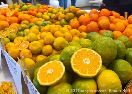 gold nugget mandarine orange