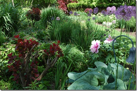 top bed-spring-with peonies