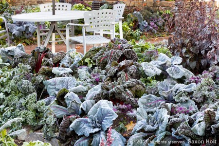 frozen vegetable leaves at lynmar