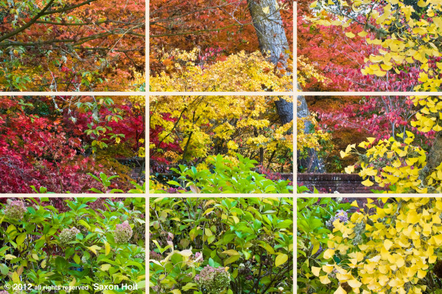 rule of thirds grid on fall tapestry photo