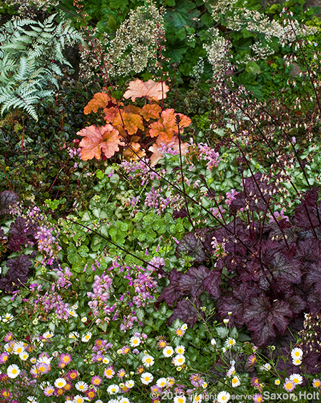 ground cover garden tapestry