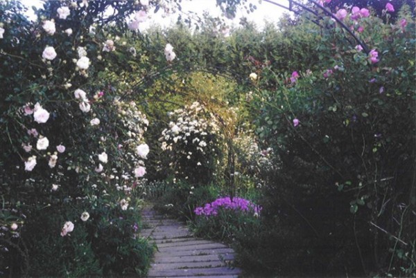 Fran Sorin garden- front pathway