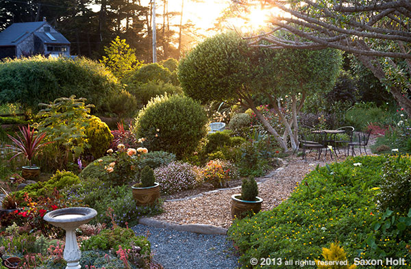 sunburst light in garden photo