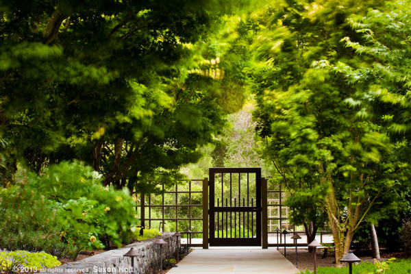 garden gate with windy trees
