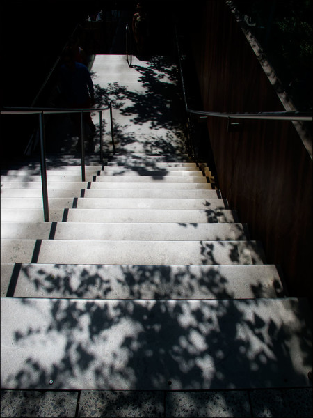 High Line tree shadows on cement stairs.