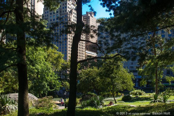 Sunny view of Manhatten framed through trees of Central Park