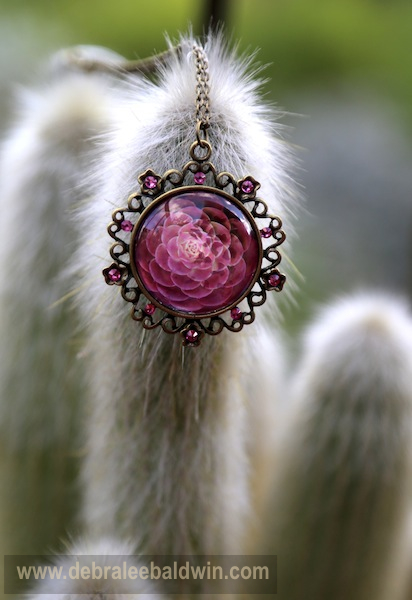 Aeonium pendant w cactus