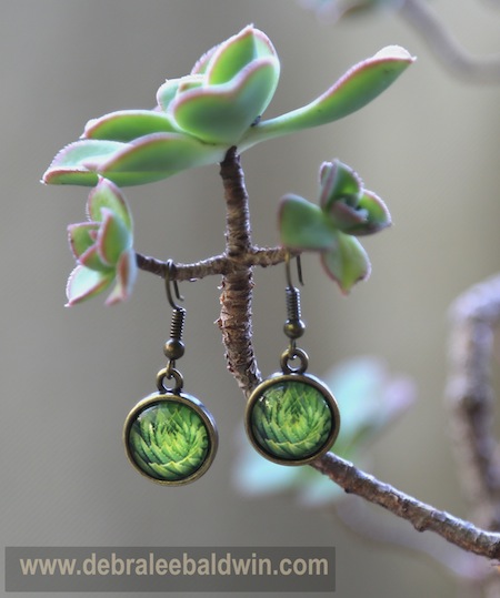 Aloe polyphylla earrings w aeonium