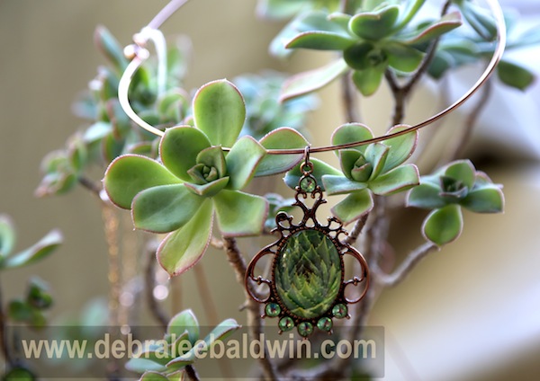 Aloe polyphylla pendant w aeonium