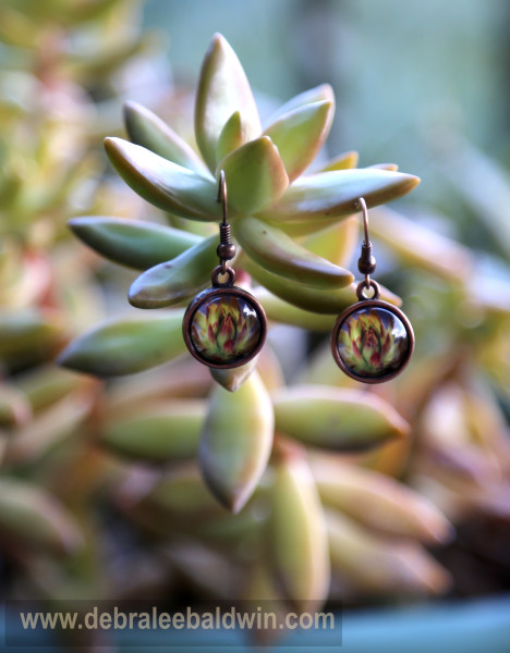 Sedum nus earrings w Sedum nus