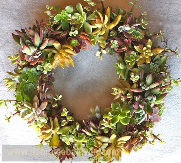 8Wreath