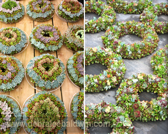 9Wreath