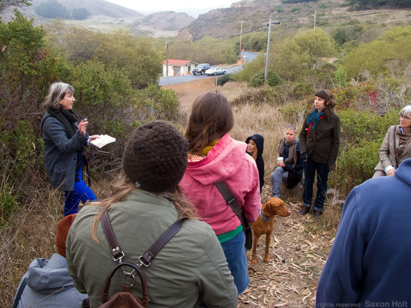 Hazel White leads a poetry walk, Marin Headlands Center for the Arts
