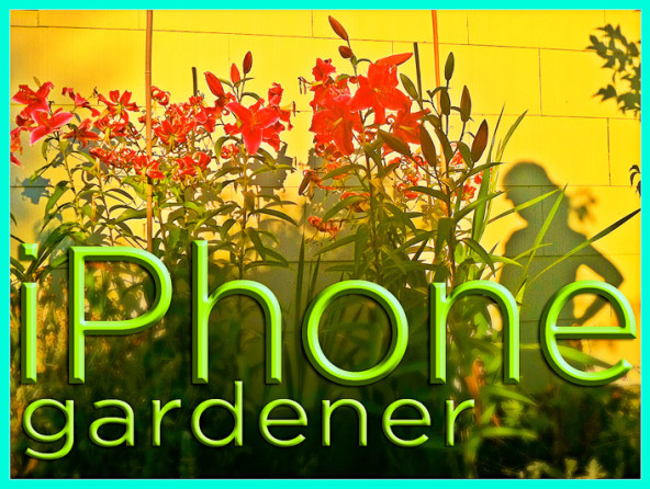 David Perry's iPhone Gardener