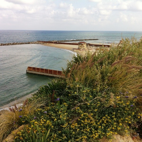 Edge of park overlooking Mediterranean Sea