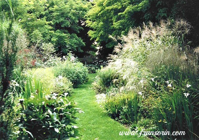 2002-03-14 07.15.42.jpg- as garden became wilder