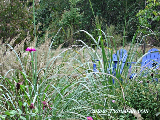 2005-10-24 01.01.15.jpg-blue chairs infront overlooking grasses-2272x1704