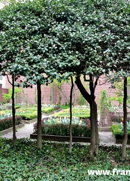 18 Century Philadelphia Garden