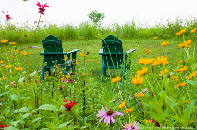 Connecticut meadow garden with native wildflowers; Larry Weiner Design