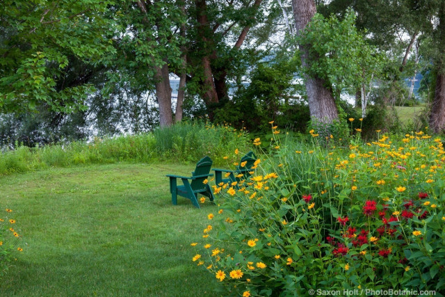 Connecticut meadow garden with native wildflowers; Larry Weiner Design