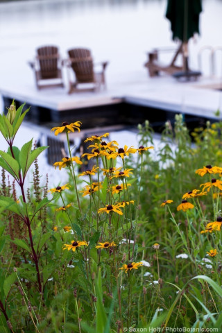 Connecticut meadow garden with native wildflowers; Larry Weiner Design