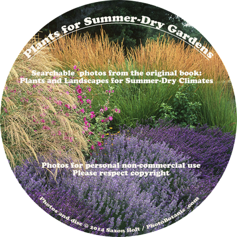 holt-summer-dry disc product label_600