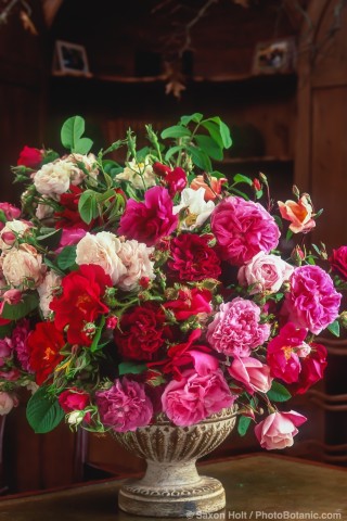 Large floral arrangement of old roses