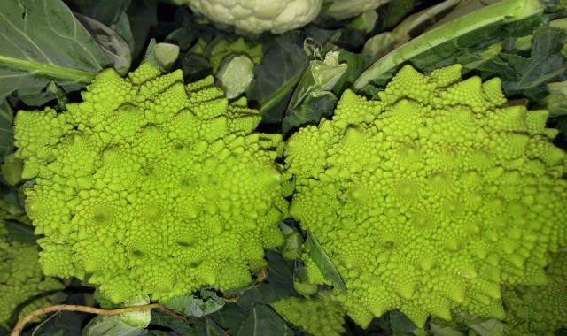 Romanesco