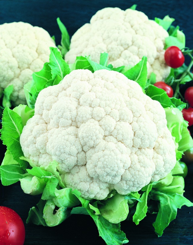 555 Cauliflower Snowball Alex.jpg-Sustainable Seeds