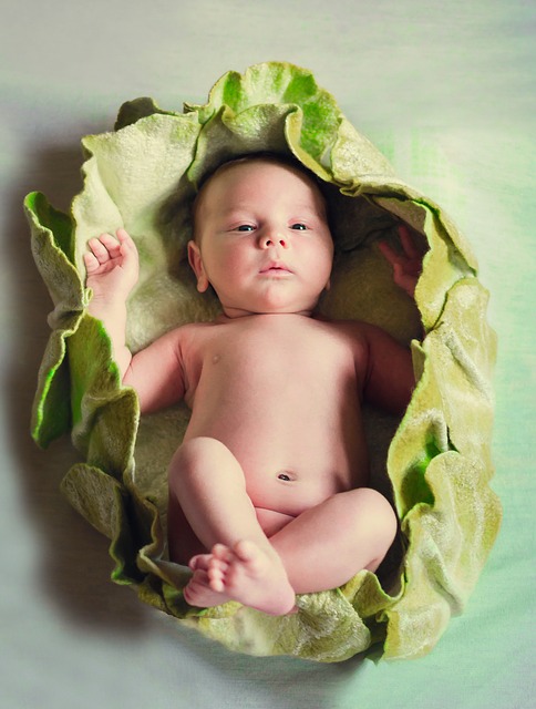 newborn-1328516_640.jpg-pixabay