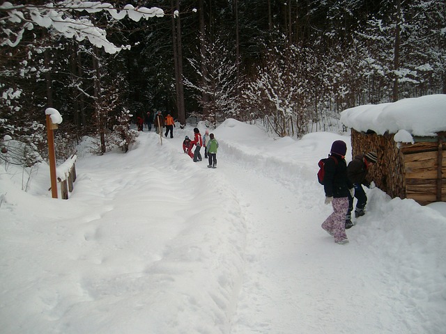 snow-423753_640.jpg-Children in Nature in Snow