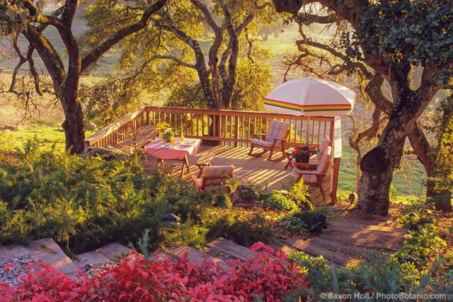 Wooden stairs leading to a hillside deck under Oak trees inSonoma summer-dry garden