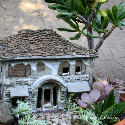Succulents and haunted ceramic house
